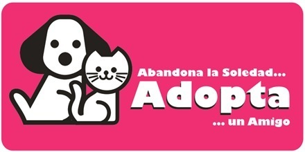 adopcion-g