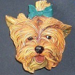 yorkshire-terrier-7