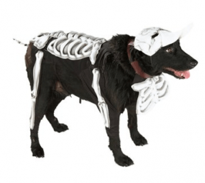Disfraces para perros Halloween 2009_calavera Disfraz para perro de Calavera