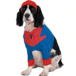 Disfraces para perros Halloween 2009_hombre_araña Disfraz para perro de Hombre araña