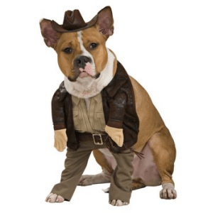 Disfraz para perro de Indiana Jones
