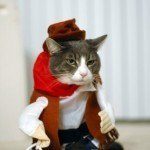 disfraces_para_gatos_gato con botas