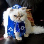 disfraces_para_gatos_judio