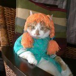 disfraces_para_gatos_pelirroja
