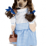 dizfraz_para_perras_dorothy_mago_de_oz