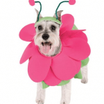 dizfraz_para_perras_flor