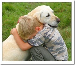 perros1