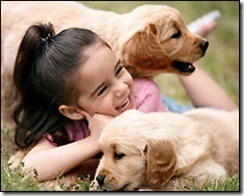perros