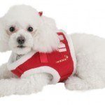 Arnes para Perros Arneses para Mascotas Navidad Kukasworld puppia 28