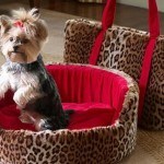 cuna-y-bolso-mascotas