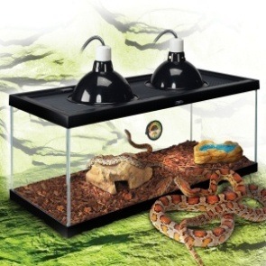 Snake Cages
