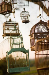bird-cages2