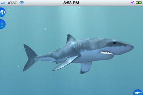 Tiburones 2