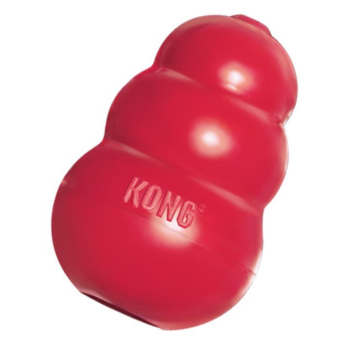 kong casero para perros