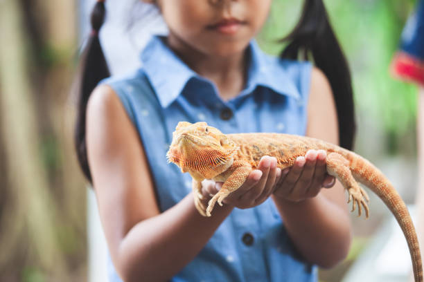 Los mejores consejos para que los ninos dejen de tenerle miedo a los animales 