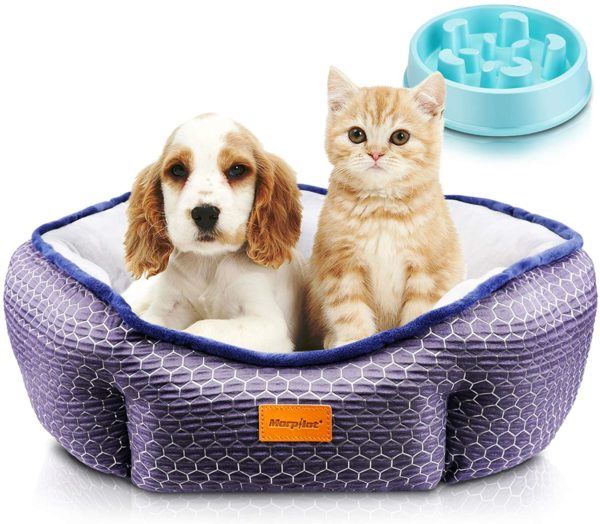 Las mejores camas de verano para perros - Las más vendidas Marpiat