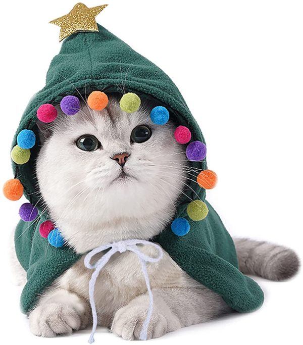 10 regalos de Navidad para gatos capa