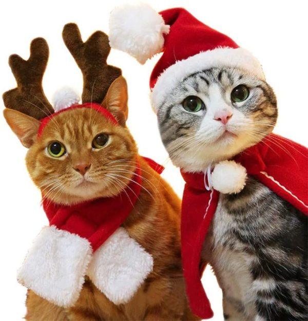 10 regalos de Navidad para gatos disfraz